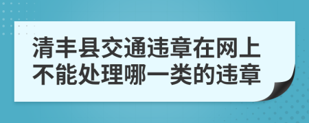 清丰县交通违章在网上不能处理哪一类的违章