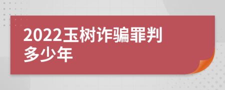 2022玉树诈骗罪判多少年