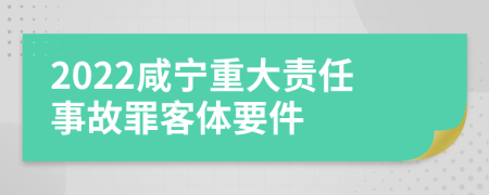 2022咸宁重大责任事故罪客体要件