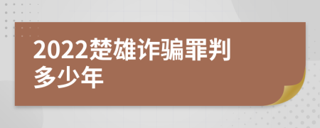 2022楚雄诈骗罪判多少年