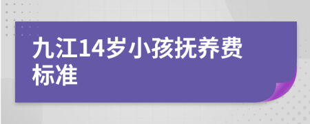 九江14岁小孩抚养费标准