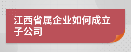 江西省属企业如何成立子公司