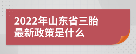 2022年山东省三胎最新政策是什么