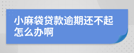 小麻袋贷款逾期还不起怎么办啊