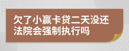 欠了小赢卡贷二天没还法院会强制执行吗