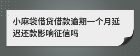小麻袋借贷借款逾期一个月延迟还款影响征信吗