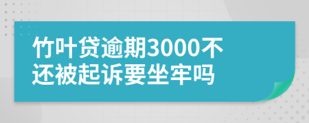 竹叶贷逾期3000不还被起诉要坐牢吗