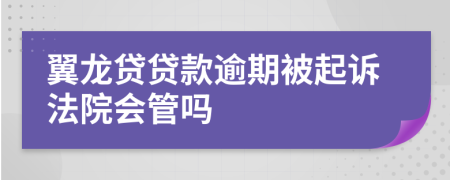 翼龙贷贷款逾期被起诉法院会管吗