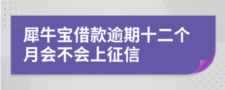 犀牛宝借款逾期十二个月会不会上征信