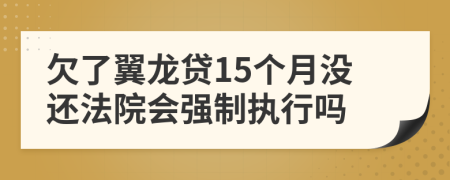 欠了翼龙贷15个月没还法院会强制执行吗