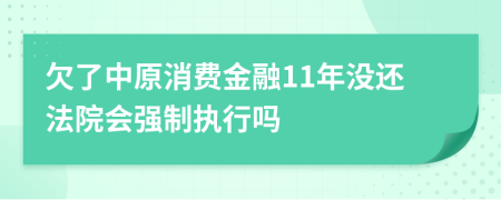 欠了中原消费金融11年没还法院会强制执行吗