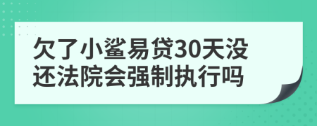 欠了小鲨易贷30天没还法院会强制执行吗