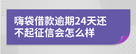 嗨袋借款逾期24天还不起征信会怎么样