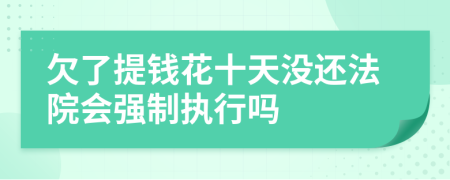 欠了提钱花十天没还法院会强制执行吗