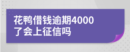 花鸭借钱逾期4000了会上征信吗