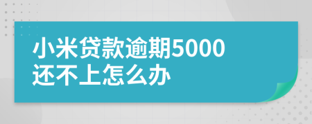 小米贷款逾期5000还不上怎么办