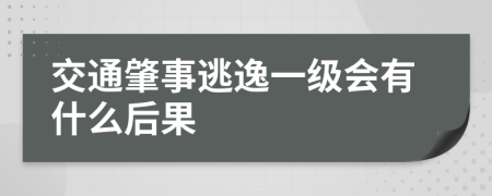 交通肇事逃逸一级会有什么后果