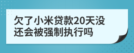 欠了小米贷款20天没还会被强制执行吗