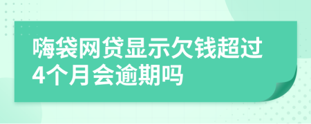 嗨袋网贷显示欠钱超过4个月会逾期吗