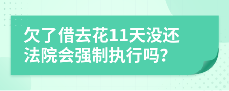 欠了借去花11天没还法院会强制执行吗？