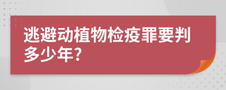 逃避动植物检疫罪要判多少年?