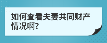 如何查看夫妻共同财产情况啊？