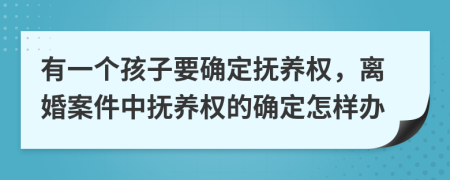 有一个孩子要确定抚养权，离婚案件中抚养权的确定怎样办