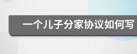 一个儿子分家协议如何写