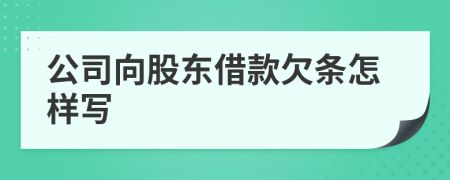 公司向股东借款欠条怎样写