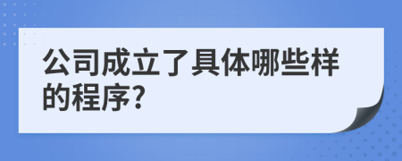 公司成立了具体哪些样的程序?