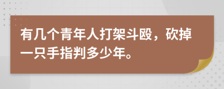 有几个青年人打架斗殴，砍掉一只手指判多少年。