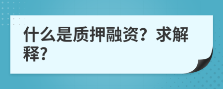 什么是质押融资？求解释?