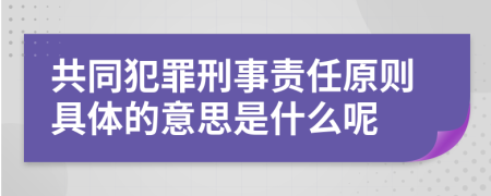 共同犯罪刑事责任原则具体的意思是什么呢