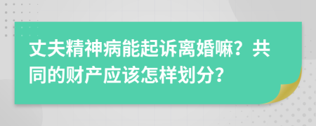 丈夫精神病能起诉离婚嘛？共同的财产应该怎样划分？