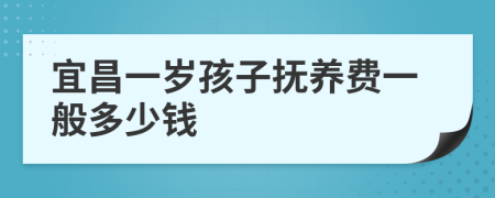 宜昌一岁孩子抚养费一般多少钱