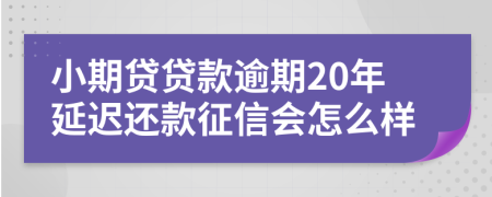小期贷贷款逾期20年延迟还款征信会怎么样