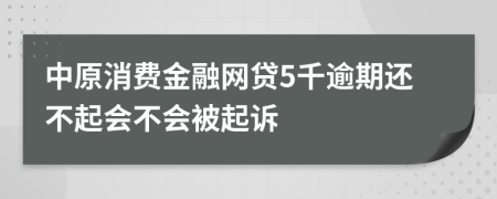 中原消费金融网贷5千逾期还不起会不会被起诉