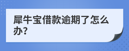 犀牛宝借款逾期了怎么办？