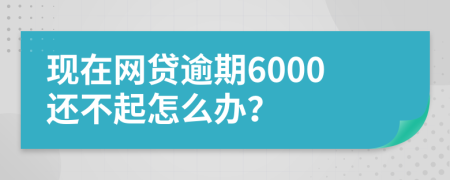 现在网贷逾期6000还不起怎么办？