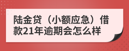 陆金贷（小额应急）借款21年逾期会怎么样