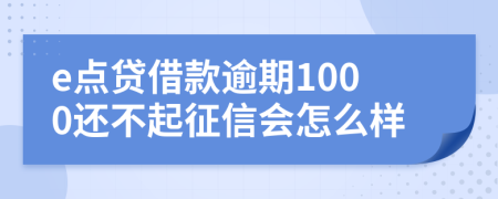 e点贷借款逾期1000还不起征信会怎么样