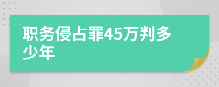 职务侵占罪45万判多少年