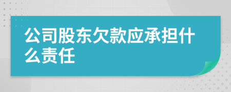 公司股东欠款应承担什么责任