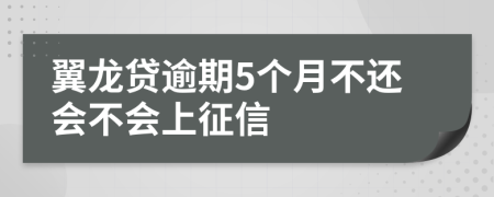 翼龙贷逾期5个月不还会不会上征信