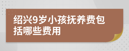 绍兴9岁小孩抚养费包括哪些费用