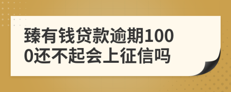 臻有钱贷款逾期1000还不起会上征信吗