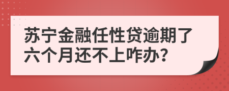 苏宁金融任性贷逾期了六个月还不上咋办？