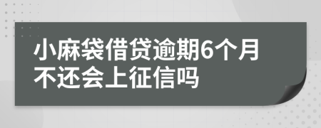 小麻袋借贷逾期6个月不还会上征信吗