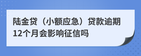 陆金贷（小额应急）贷款逾期12个月会影响征信吗