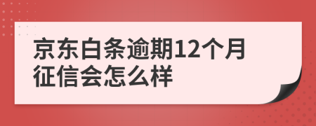 京东白条逾期12个月征信会怎么样